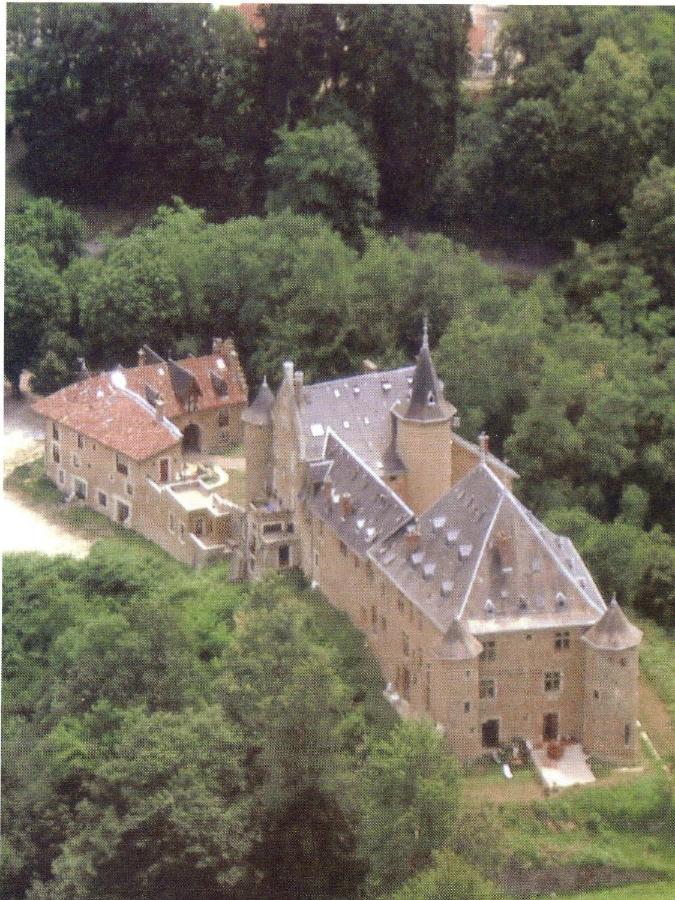 סנט מרטין דיורג Le Belvedere De La Grand Croix Dans Le Chateau D'Uriage מראה חיצוני תמונה